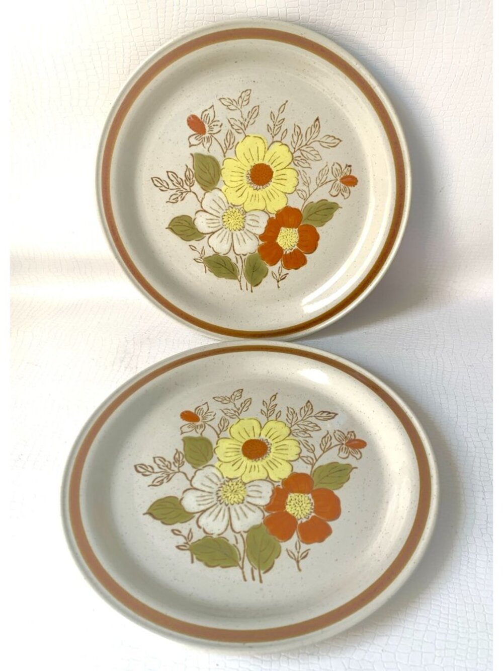 2 Vintage Stone Creek Pattern Dinner Plates Old Brook Collection Stoneware 1970s